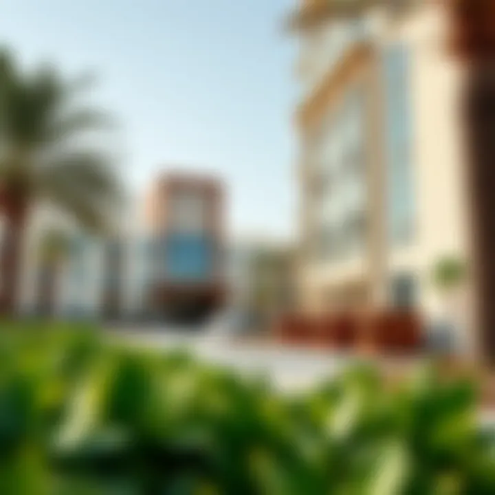 Vibrant community and lifestyle amenities near Adagio Palm Jumeirah