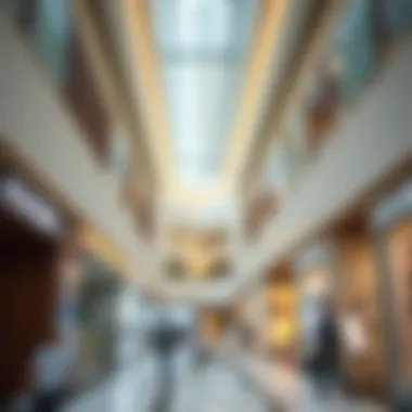 Shopping Experience in Dubai's Malls Modern mall with diverse shops