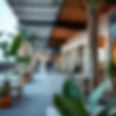 Community Vibes in Amber Al Nahda Vibrant community spaces in Amber Al Nahda promoting social interaction