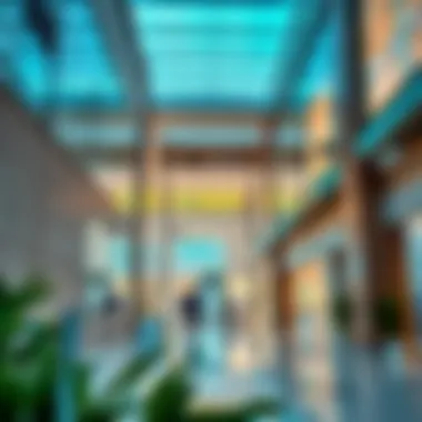 State-of-the-Art Healthcare in Dubai A modern healthcare facility in Dubai