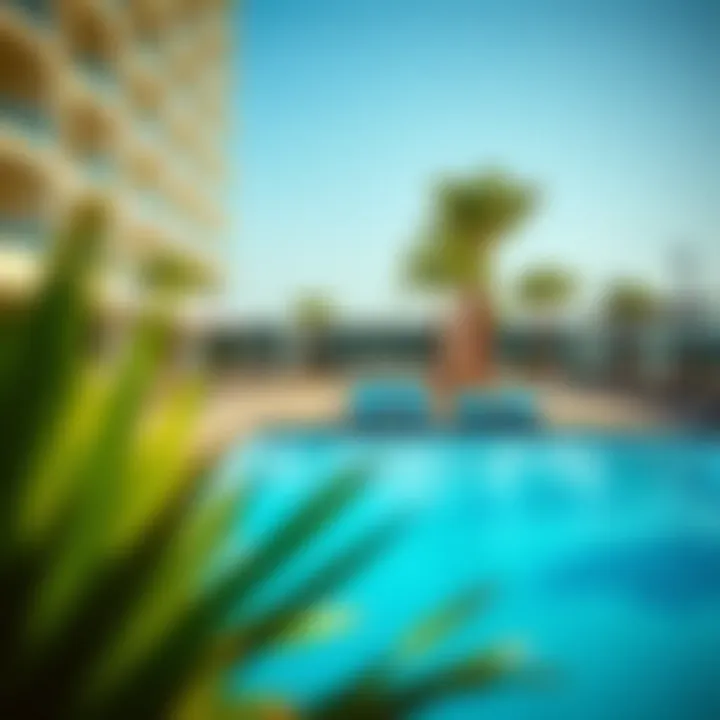 Recreational Facilities and Pool Area Recreational facilities and pool area at Avani Palm View