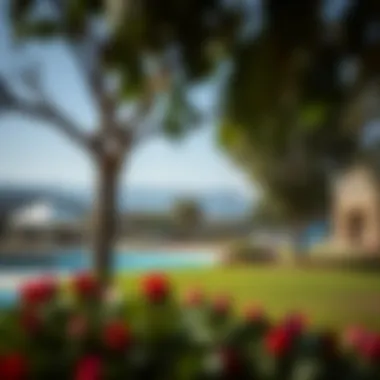 Recreational Areas in بني ياس شمال Park in بني ياس شمال illustrating recreational spaces for families