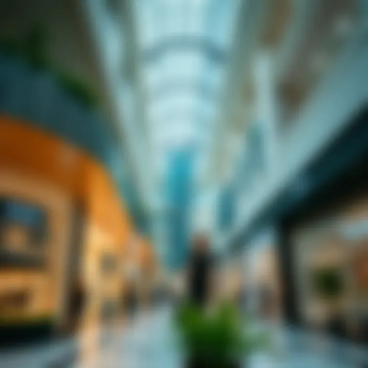 Diverse Shopping Experience at Barari Mall Diverse retail offerings within Barari Mall highlighting a variety of stores