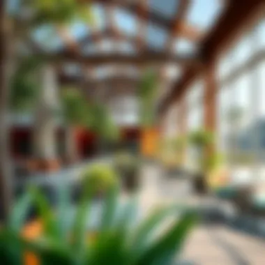 Vibrant Community Spaces in Botanica JVC Vibrant community spaces reflecting the lifestyle in Botanica JVC