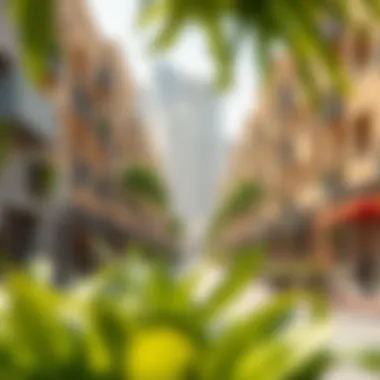 Exciting Bur Dubai Community Overview Vibrant neighborhood in Bur Dubai featuring local amenities