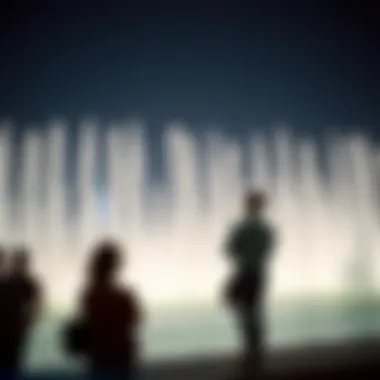 Visitors enjoying the view of the water fountains during a performance