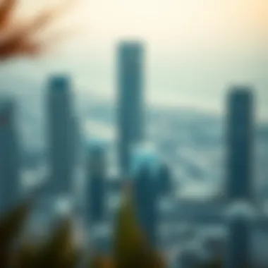 Investment Insights on C2 Tower Investment potential analysis for C2 Tower Al Bateen