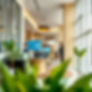 Procedure for Checking Visa Status How to check visa status