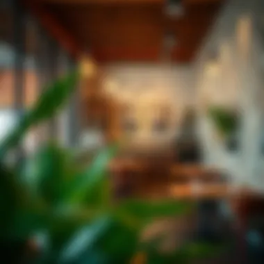 Trendy Café Experience at Yas Bay Trendy café with an inviting atmosphere for casual dining