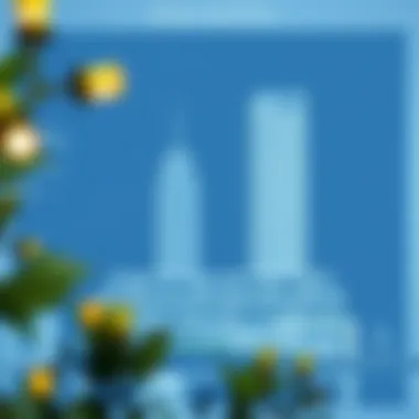 Architectural Blueprint of Dania Building Four Architectural blueprint emphasizing the design philosophy of the project