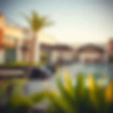 Community amenities in Discovery Gardens