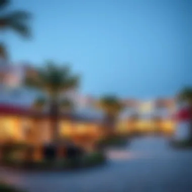 Community amenities and lifestyle offerings in الدمشقي شارع المطار