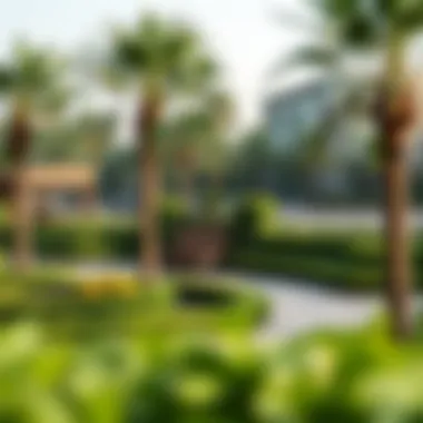A picturesque park in Al Habtoor, emphasizing the locality's charm and greenery