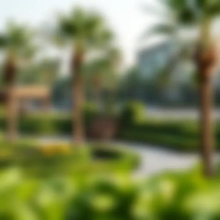 A picturesque park in Al Habtoor, emphasizing the locality's charm and greenery