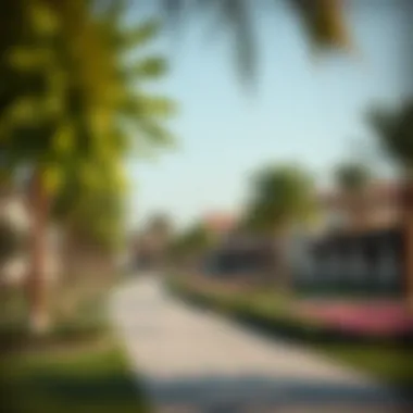 Community Parks in Al Khawaneej Vibrant community parks in Al Khawaneej