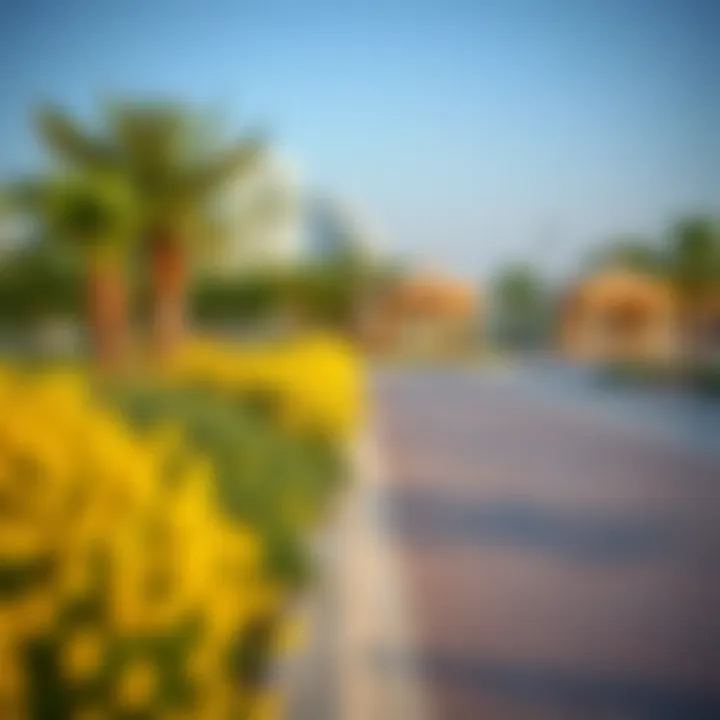 Amenities in Al Rahba City A visual representation of the amenities available in Al Rahba City, including parks and recreational areas.