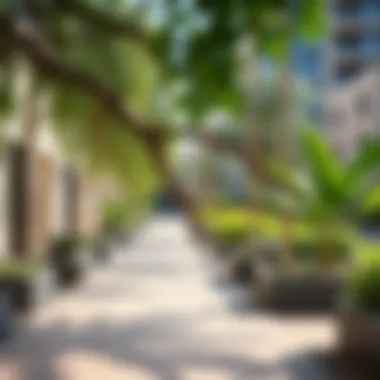 Inviting Community Spaces in Al Zahia City Centre Vibrant community spaces at Al Zahia City Centre filled with greenery