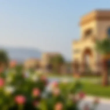 Amenities Enhancing Life at Carrefour Arabian Ranches Landscape view of the amenities surrounding Carrefour Arabian Ranches.