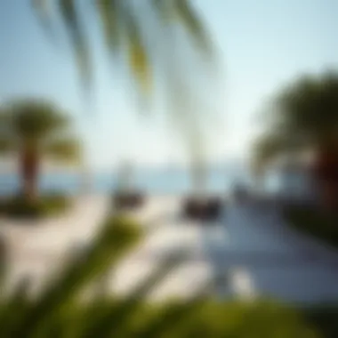 Recreational activities available at فندق ديزرت بالم