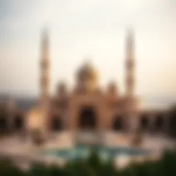 Stunning view of فندق ديزرت بالم with its unique architecture