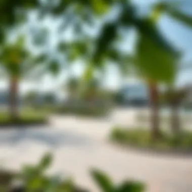 Community amenities in District 1 featuring parks and recreational areas