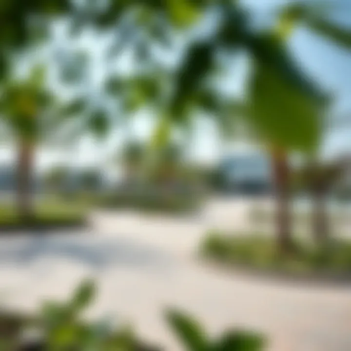 Community amenities in District 1 featuring parks and recreational areas