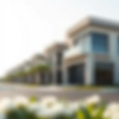 Luxurious villas in District 1 highlighting architectural elegance