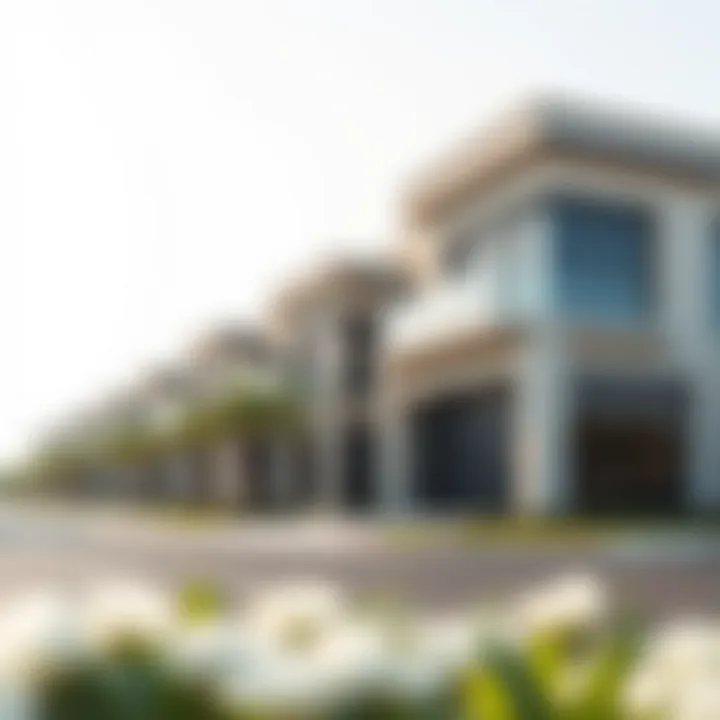 Luxurious villas in District 1 highlighting architectural elegance