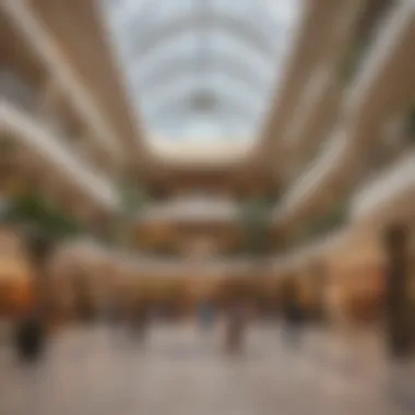 A Glimpse into Dragon Mall's Retail Diversity Interior shot highlighting the diverse retail offerings within the mall