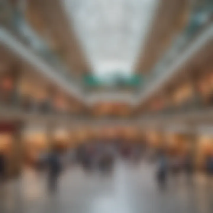 Panoramic view of the bustling shopping environment in Dragon Mall