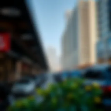 Supporting Local Enterprises: The Impact of Free Parking Local businesses thriving on Free Parking Day