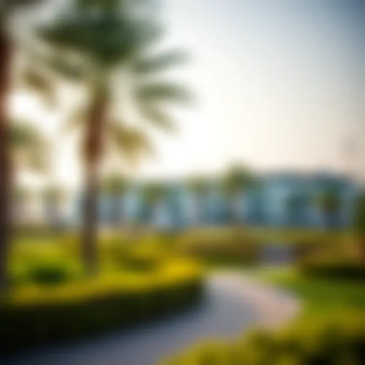 Park Promoting Wellness A serene park in Dubai Health City, promoting wellness and relaxation
