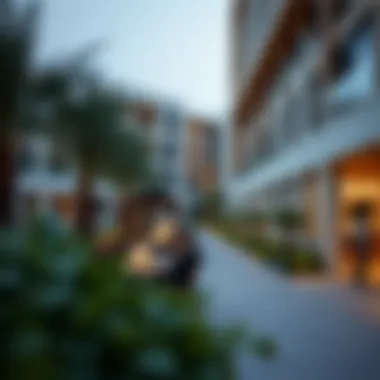 Amenities and Lifestyle in Remraam Community amenities in Remraam