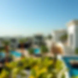 Aerial view of luxurious garden view villas in Dubai