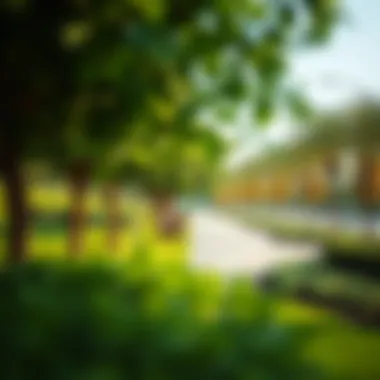 Recreational park in Ibtown Al Zahya