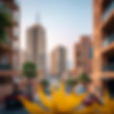 Vibrant neighborhood view in Warsan, Dubai