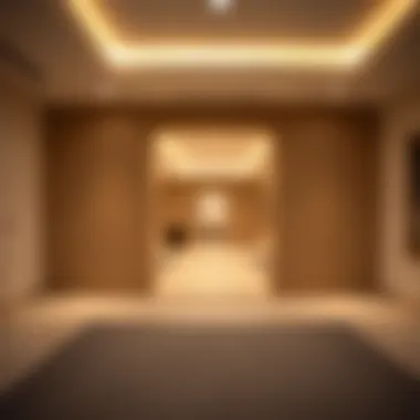 Exploring Partition Rentals in Jumeirah 2 Introduction Exploring Partition Rentals in Jumeirah 2 Introduction