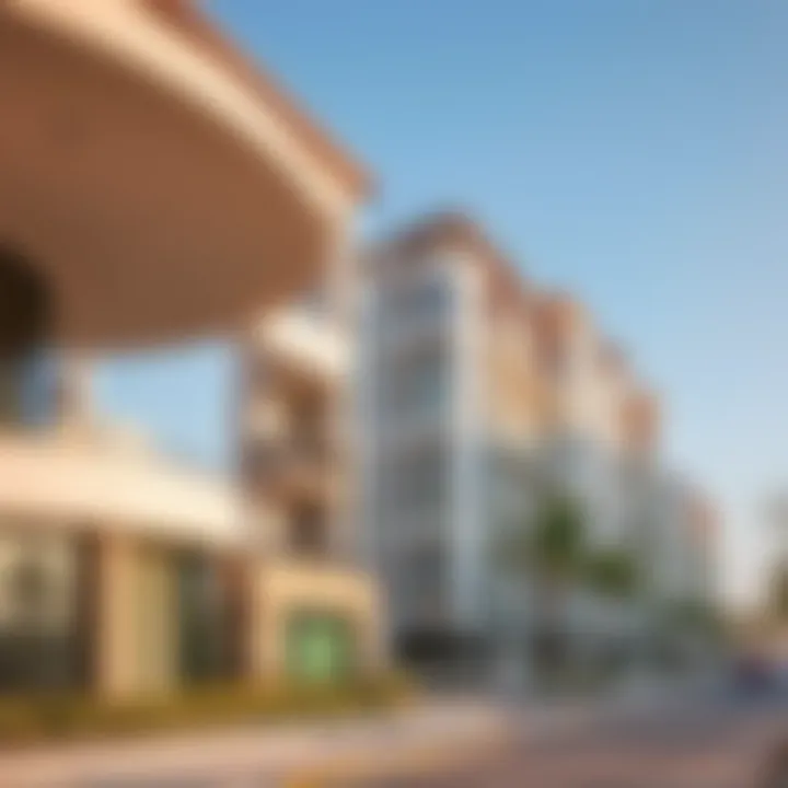 An overview of diverse property types in Dubai