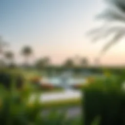 A serene view of the pond surrounded by lush greenery