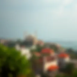 A panoramic view of قرية ساس النخل showcasing its unique architecture and lush surroundings