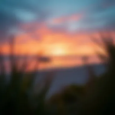 Serene Beach Sunset in UAE A serene beach view showcasing vibrant sunset hues in the UAE.