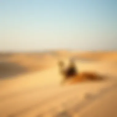 A picturesque desert landscape featuring an adventurous dune bashing scene.