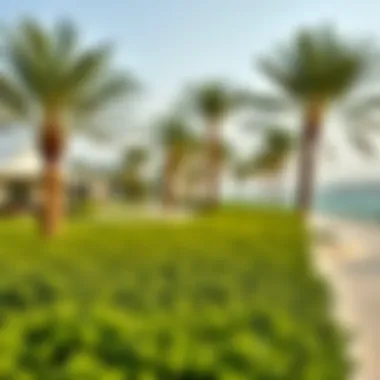 Lush Greenery by the Al Mamzar Waterfront Lush greenery along the Al Mamzar waterfront