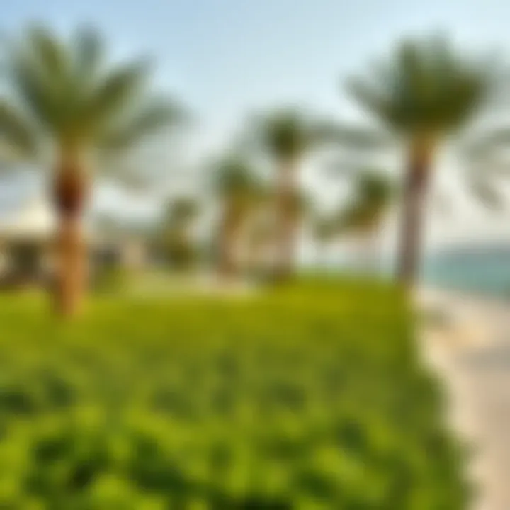 Lush Greenery by the Al Mamzar Waterfront Lush greenery along the Al Mamzar waterfront