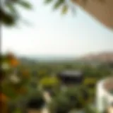 Aerial view showcasing the lush landscape of حديقة العين