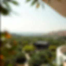 Aerial view showcasing the lush landscape of حديقة العين