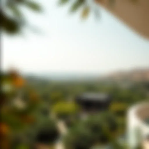 Aerial view showcasing the lush landscape of حديقة العين