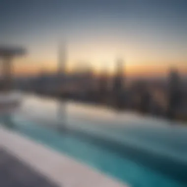 Infinity Pool with Cityscape View Infinity pool on a penthouse terrace with cityscape backdrop