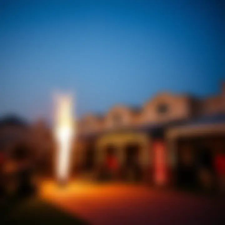 Celebrating Community Spirit Vibrant community spirit in Meadows Village during local events