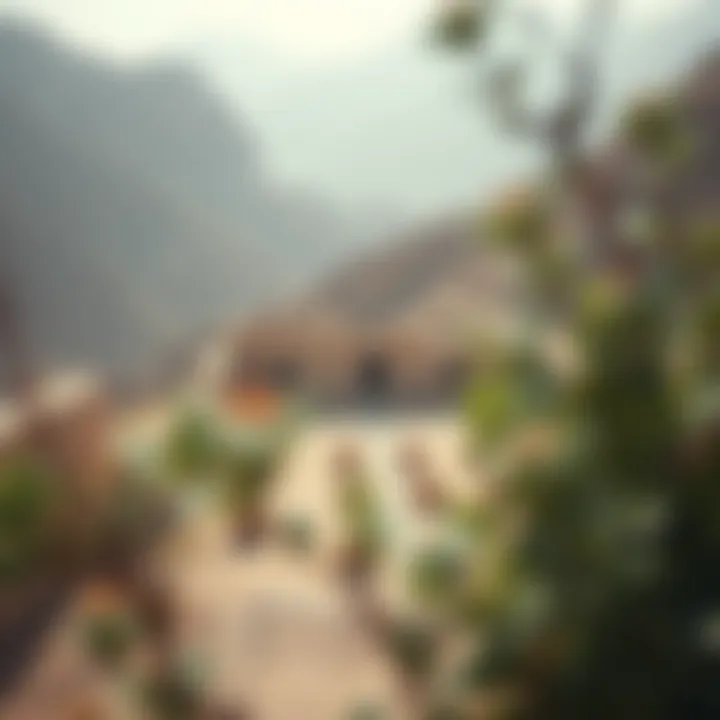 Mleiha Archaeological Centre surrounded by natural beauty